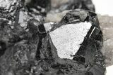 Metallic Wodginite Crystals On Quartz - Itatiaia Mine, Brazil #214580-3